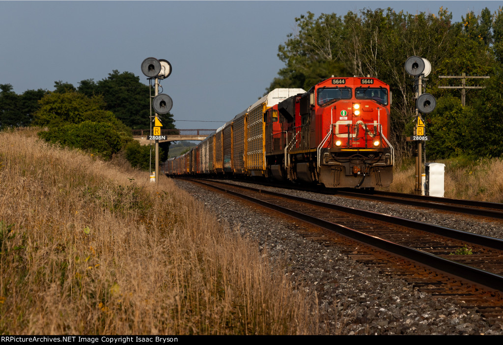 CN 5644